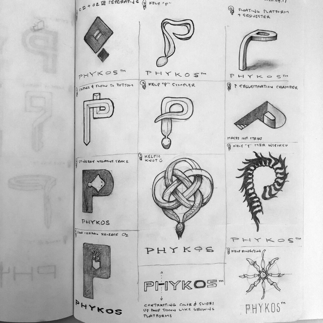 06-Phykos-sketches