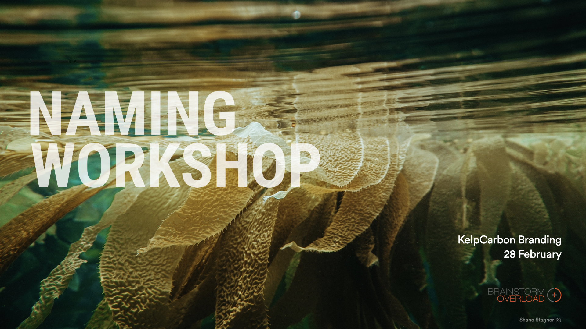 01-KelpCarbon-Naming