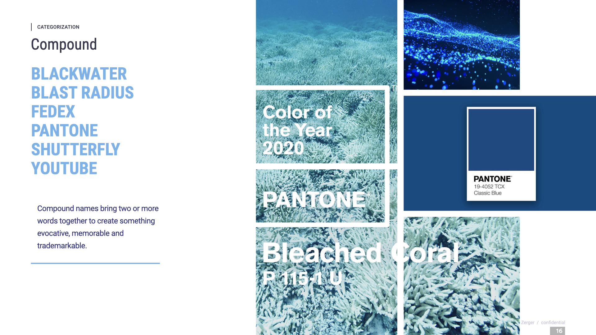 16-KelpCarbon-Naming