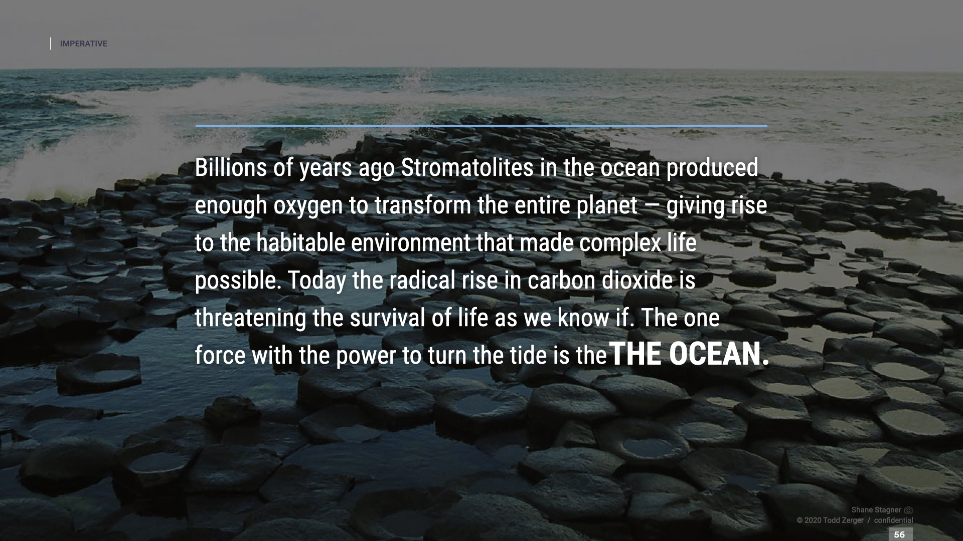 56-KelpCarbon-Naming